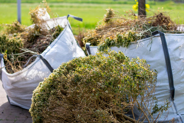 Best Yard Cleanup Services  in New Waverly, TX